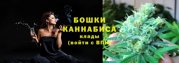 индика Беломорск