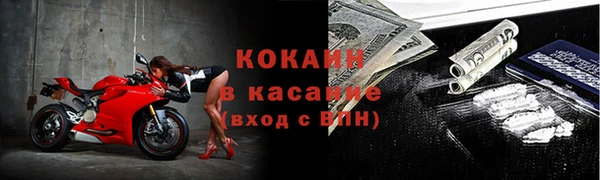 индика Беломорск