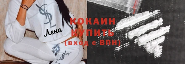 индика Беломорск