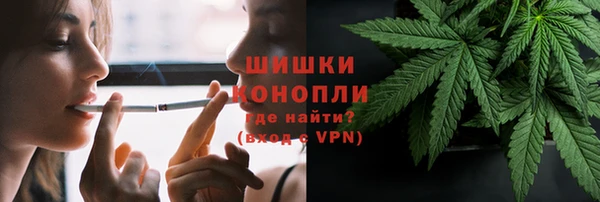 индика Беломорск