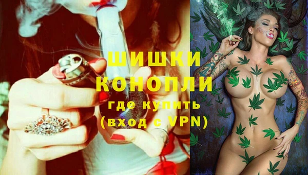 ECSTASY Белокуриха