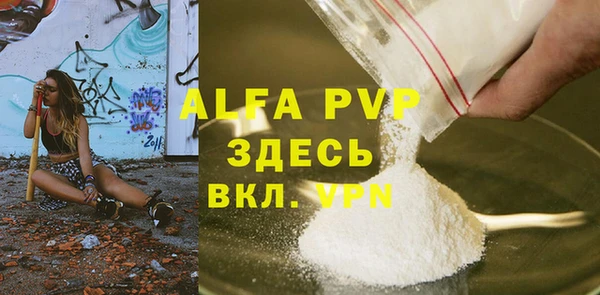 индика Беломорск