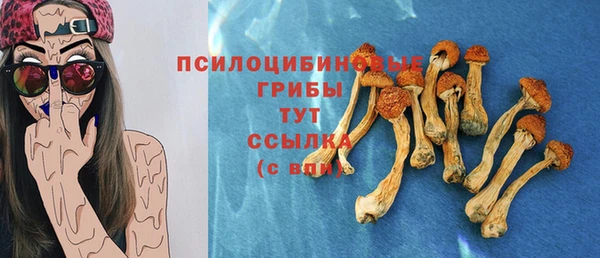 ECSTASY Белокуриха