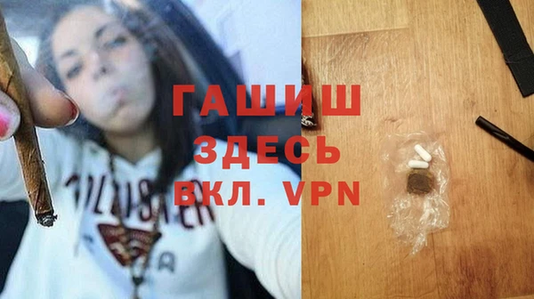 индика Беломорск